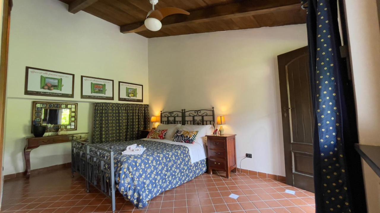 Agriturismo La Casa Del Ghiro Pimonte Kültér fotó