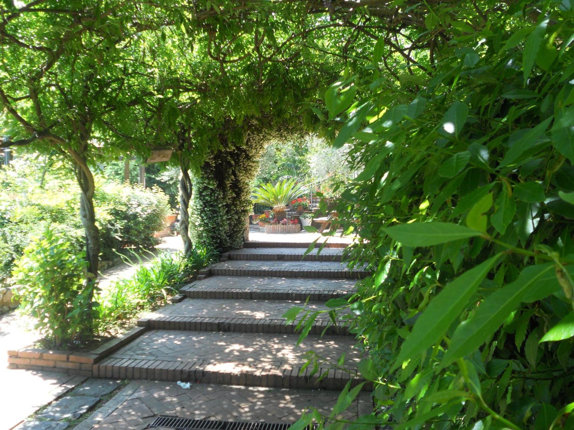 Agriturismo La Casa Del Ghiro Pimonte Kültér fotó